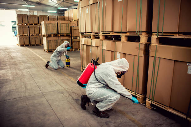 Flea Control Services in Sag Harbor, NY