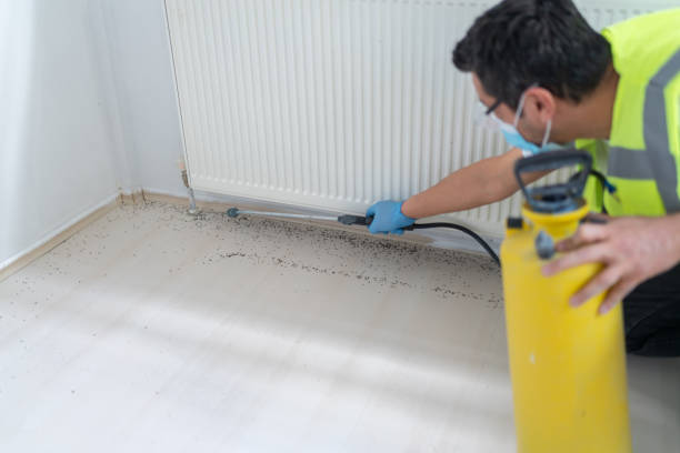 Best Mosquito Control Services  in Sag Harbor, NY