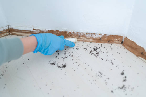 Best Commercial Pest Control Services  in Sag Harbor, NY