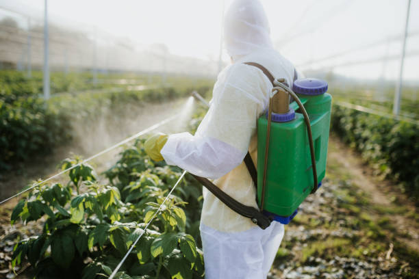 Best Emergency Pest Control  in Sag Harbor, NY